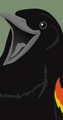 Marsh King